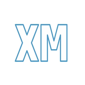 Schiebetor freitragend Bausatz XM