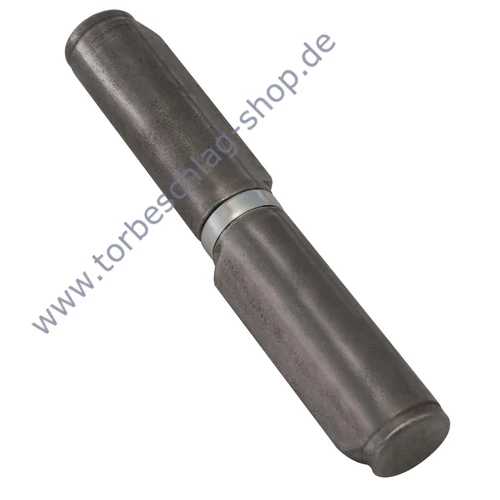 scharnier-zum-anschweissen-576.80