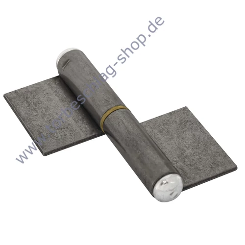 scharnier-zum-anschweissen-577.100.D